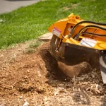 How Professional Stump Grinding Creates More Usable Garden Space