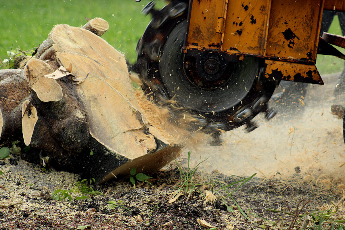 Stump Grinding Stockport